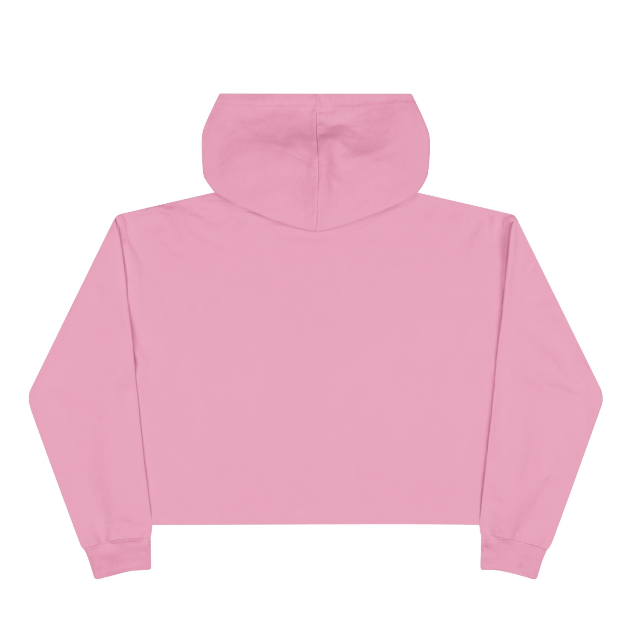 Cropped Hoodie — TFB 2024 Minimalist Arch Logo